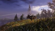 Aska (PC) - Steam Gift - NORTH AMERICA