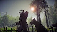 Aska (PC) - Steam Key - GLOBAL