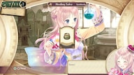 Atelier Meruru ~The Apprentice of Arland~ DX Steam Key GLOBAL