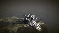 AX:EL - Air XenoDawn (PC) - Steam Key - GLOBAL