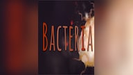 Bacteria Steam Key GLOBAL
