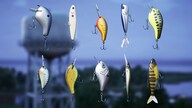 Bassmaster Fishing 2022: Predator Equipment Pack (PC) - Steam Key - GLOBAL