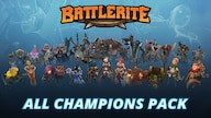 Battlerite - All Champions Pack PC Steam Key GLOBAL
