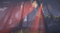 Bigfoot (PC) - Steam Account - GLOBAL