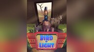 Bird of Light Steam Key GLOBAL