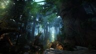 Black Desert Online | Traveler Edition (Xbox One) - Xbox Live Key - EUROPE