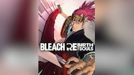 BLEACH Rebirth of Souls - Rebirth of Souls Costume Set (PC) - Steam Key - GLOBAL