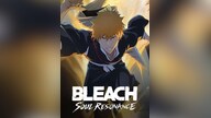 BLEACH: Soul Resonance Extreme Training - GLOBAL