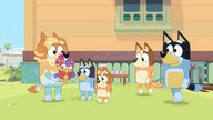 Bluey: The Videogame (Xbox Series X/S, Windows 10) - Xbox Live Account - GLOBAL