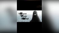 Born Tubi Wild Steam Key GLOBAL