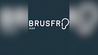 Brusfri Noise Reducer (PC) (1 Device, Lifetime)  - Klevgrand Key - GLOBAL