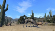 Cabela's Big Game Hunter Pro Hunts Steam Key GLOBAL
