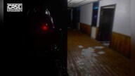 CASE: Animatronics Steam Key GLOBAL