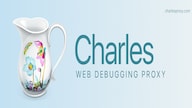 Charles Web Debugging Proxy 4 (PC) (1 Device, Lifetime)  - CharlesProxy Key - GLOBAL
