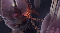 COCOON (PC) - Steam Key - GLOBAL