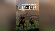 Combat Mission Black Sea (PC) - Steam Key - GLOBAL