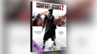 Company of Heroes 2 - Faceplate: Chainlink Steam Gift GLOBAL
