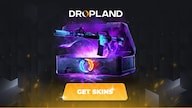 Counter Strike 2 RANDOM RESTRICTED SKIN BY DROPLAND.NET - Key - GLOBAL
