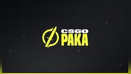 CSGOPaka 10 PLN - CSGOPaka Key - GLOBAL
