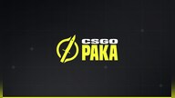 CSGOPaka 40 PLN - CSGOPaka Key - GLOBAL