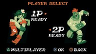 Curses 'N Chaos Steam Key GLOBAL