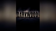 Darkwood | Deluxe Edition (PC) - Steam Key - GLOBAL