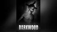Darkwood (PC) - Steam Key - GLOBAL