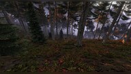 DayZ (PC) - Steam Gift - NORTH AMERICA