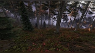 DayZ (PC) - Steam Key - GLOBAL