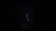 Deep Sorrow Steam PC Key GLOBAL