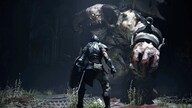 Demon's Souls Remake (PS5) - PSN Key - UNITED STATES