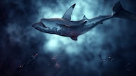 Depth Steam Key GLOBAL