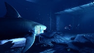 Depth Steam Key GLOBAL