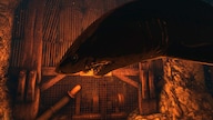 Depth Steam Key GLOBAL