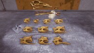 Dinosaur Fossil Hunter (PC) - Steam Gift - GLOBAL