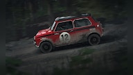 DiRT Rally (PC) - Steam Account - GLOBAL