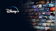 Disney Plus Basic 12 Months - Disney Plus Account - GLOBAL