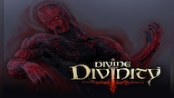 Divine Divinity Steam Key GLOBAL