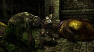 Divinity II: Developer's Cut GOG.COM Key GLOBAL