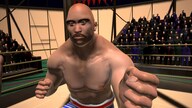 Dragon Fist: VR Kung Fu (PC) - Steam Key - EUROPE