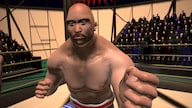 Dragon Fist: VR Kung Fu (PC) - Steam Key - GLOBAL