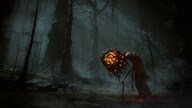 ELDEN RING Shadow of the Erdtree | Premium Bundle (Xbox Series X/S) - Xbox Live Key - UNITED STATES