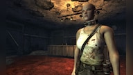 Fallout New Vegas: Dead Money Steam Key GLOBAL