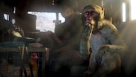 Far Cry 4 (PC) - Ubisoft Connect Key - GLOBAL