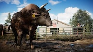 Far Cry 5 (PC) - Ubisoft Connect Key - EUROPE