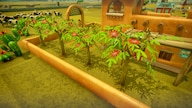 Farm Together - Mexico Steam Key GLOBAL