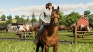 Farming Simulator 19 - Season Pass (PC) - Steam Gift - NORTH AMERICA