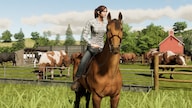 Farming Simulator 19 - Season Pass (PC) - Steam Key - GLOBAL