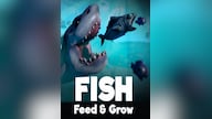 Feed and Grow: Fish Steam Gift GLOBAL