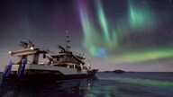 Fishing: Barents Sea Steam Key GLOBAL